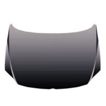 Achetez CAPOT VW VW FOX 05- au meilleur prix sur todocarrocería.com